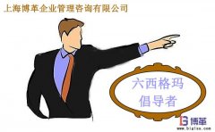 六西格瑪管理中倡導者的職責是什么？